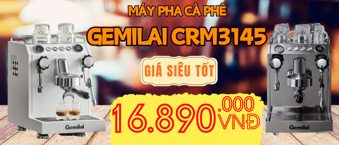 Máy pha cà phê Gemilai CRM3145